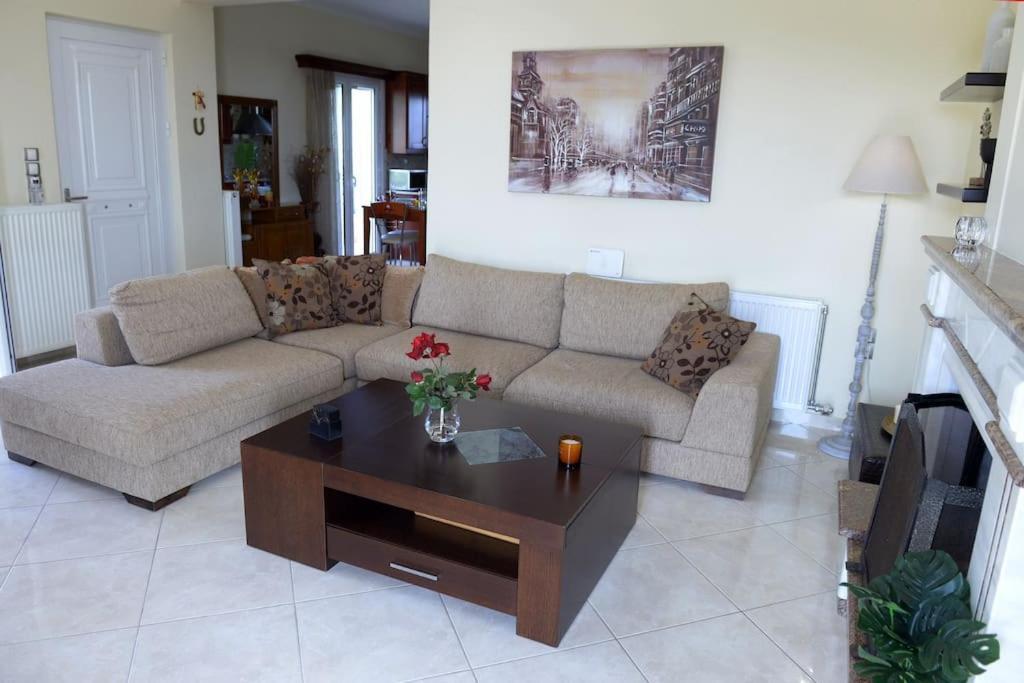 Simos' Sea View House Villa Nikopolis Bagian luar foto